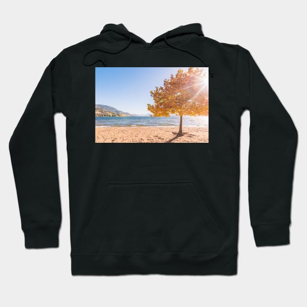 Autumn Maple Tree Beach Scene Hoodie by Amy-K-Mitchell